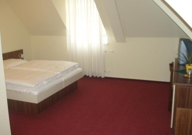 Hotel Altenberg Staré Hory Rum bild
